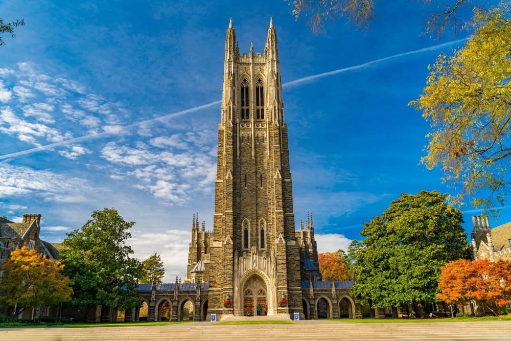 How to Establish AI Policies for Universities